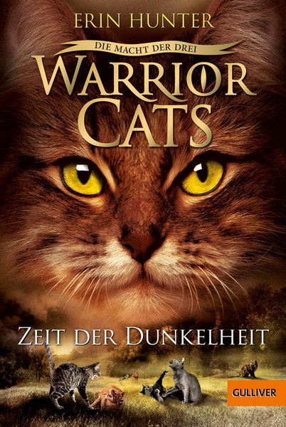 Produktbild: Warrior Cats Staffel 03/4. Die Macht der drei. Zeit der Dunkelheit