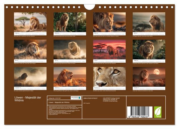 Produktbild: L&ouml;wen - Majest&auml;t der Wildnis (Wandkalender 2026 DIN A4 quer), CALVENDO Monatskalender