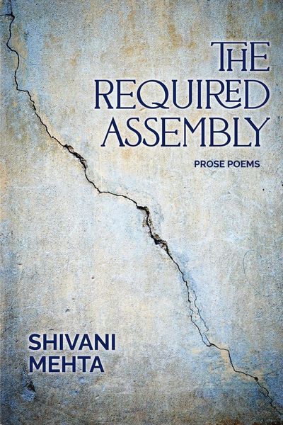 Produktbild: The Required Assembly