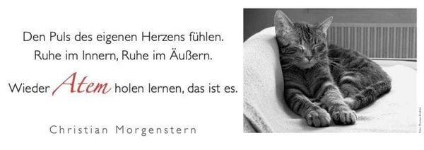 Produktbild: Der literarische Katzen Wochenplaner 2027