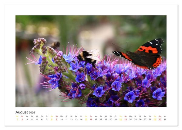 Produktbild: Madeira (Tischkalender 2026 DIN A5 quer), CALVENDO Monatskalender