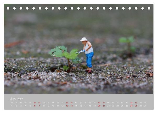 Produktbild: Das zweite Leben von Miniatur-Figuren (Tischkalender 2026 DIN A5 quer), CALVENDO Monatskalender
