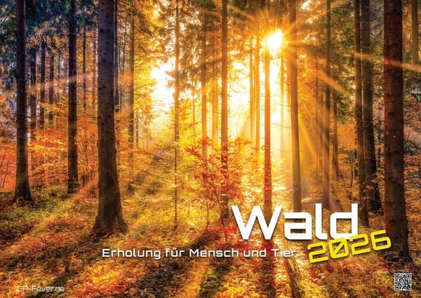Wald - Erholung für Mensch und Tier - 2026 - Kalender DIN A2