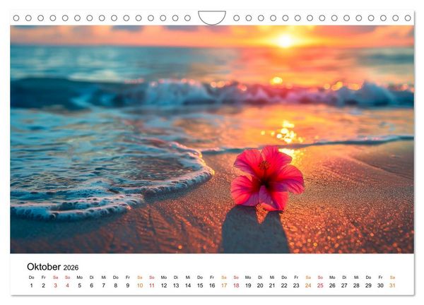 Produktbild: Mein Strand - ein Traum (Wandkalender 2026 DIN A4 quer), CALVENDO Monatskalender