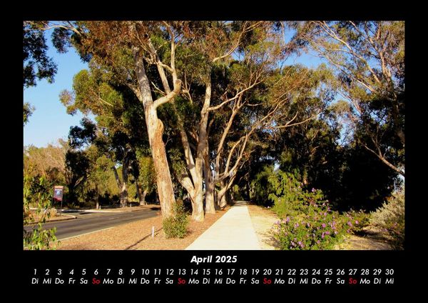 Produktbild: Pflanzen und Bl&uuml;ten 2025 Fotokalender DIN A3