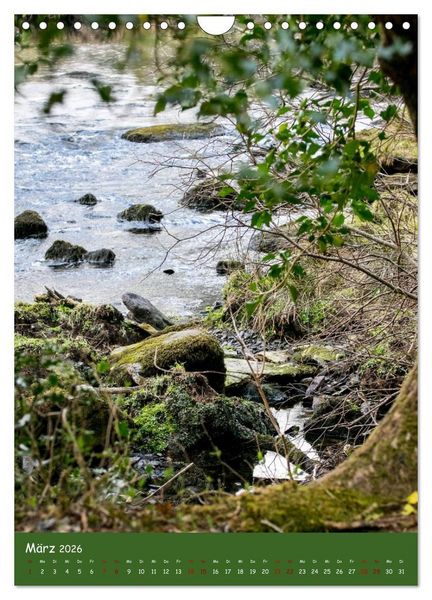 Produktbild: Irland - die gr&uuml;ne Insel (Wandkalender 2026 DIN A4 hoch), CALVENDO Monatskalender