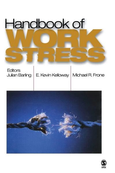 Produktbild: Handbook of Work Stress