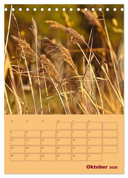 Produktbild: Wald- und Wiesenkalender 2026 Planer (Tischkalender 2026 DIN A5 hoch), CALVENDO Monatskalender
