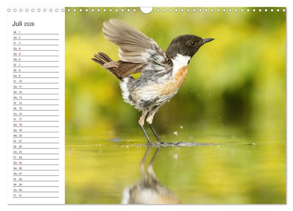 Produktbild: Faszinierendes Bulgarien (Wandkalender 2026 DIN A3 quer), CALVENDO Monatskalender