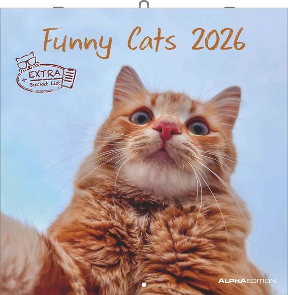 Alpha Edition - Funny Cats Kalender 2026 – Wandkalender 30x30 cm – Lustiger Katzenkalender für Katzenliebhaber – 12 witzige Katzenfotografien, viel