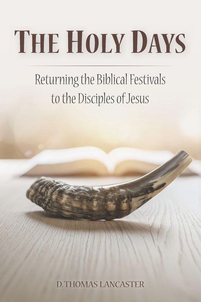 Produktbild: The Holy Days