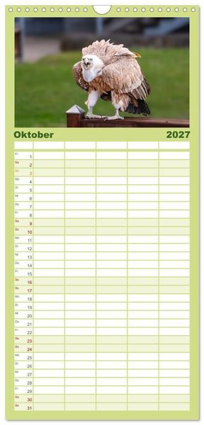 Produktbild: Familienplaner 2027 - Greifv&ouml;gel in Aktion - Dynamische Flugbilder und Portr&auml;ts mit 5 Spalten (Wandkalender, 21 x 45 cm) CALVENDO
