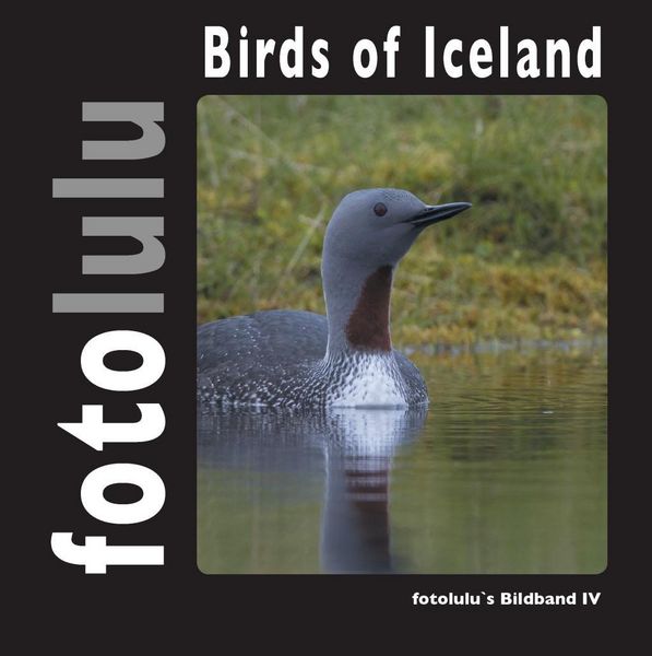 Produktbild: Birds of Iceland