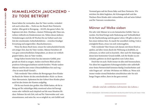 Produktbild: Das Papa-Handbuch