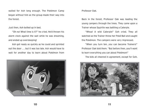 Produktbild: Pokmon New Beginning Chapte Pb