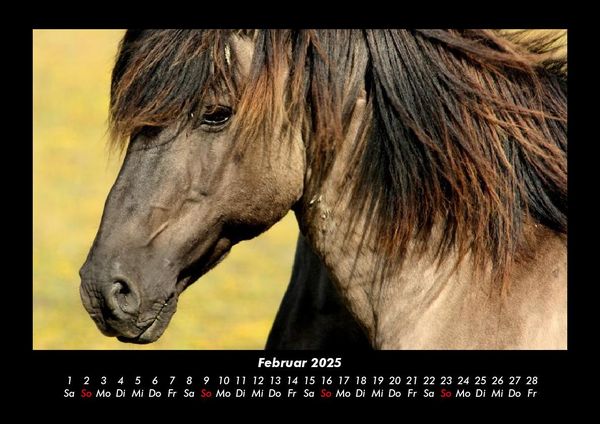 Produktbild: Welt der Tiere 2025 Fotokalender DIN A3