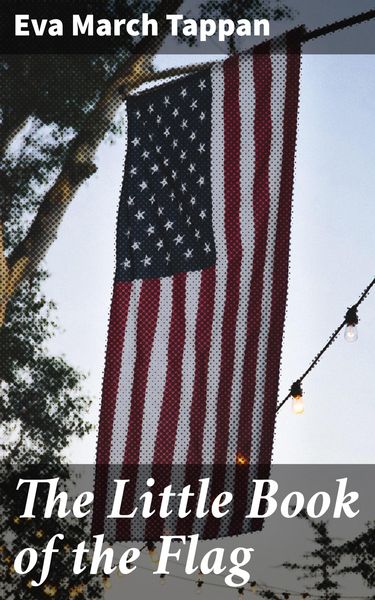 Produktbild: The Little Book of the Flag