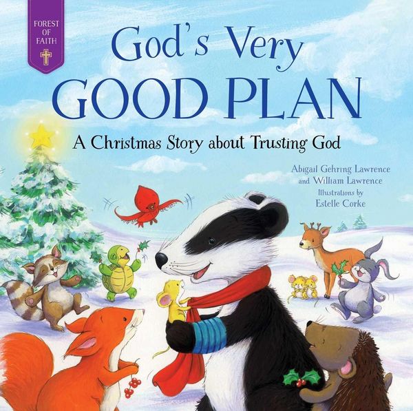 Produktbild: God's Very Good Plan