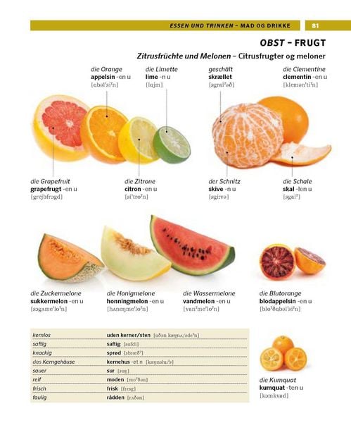 Produktbild: PONS Bildw&ouml;rterbuch D&auml;nisch