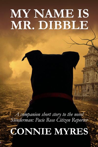 Produktbild: My Name Is Mr. Dibble (Pacie Rose Mysteries)