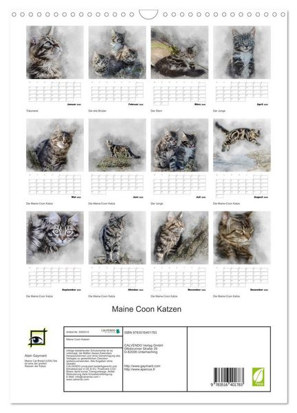 Produktbild: Maine Coon Katzen (Wandkalender 2026 DIN A3 hoch), CALVENDO Monatskalender