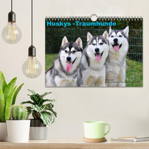 Produktbild: Huskys - Traumhunde (Wandkalender 2026 DIN A4 quer), CALVENDO Monatskalender
