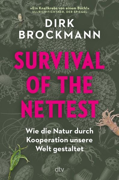 Produktbild: Survival of the Nettest