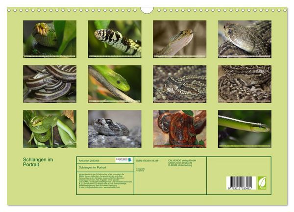 Produktbild: Schlangen im Portrait (Wandkalender 2026 DIN A3 quer), CALVENDO Monatskalender