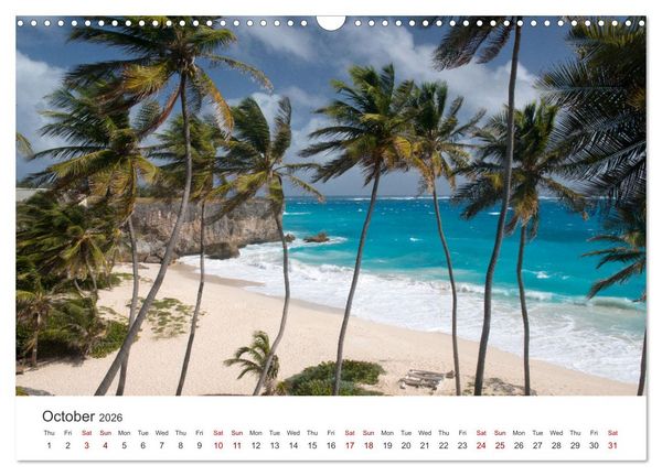 Produktbild: Caribbean beaches and the shades of blue (Wall Calendar 2026 DIN A3 landscape), CALVENDO 12 Month Wall Calendar