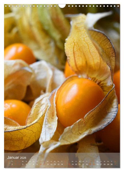 Produktbild: Blaubeeren, Himbeeren & Co - Makrofotografie in der K&uuml;che (Wandkalender 2026 DIN A3 hoch), CALVENDO Monatskalender