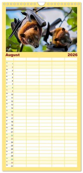 Produktbild: Familienplaner 2026 - Flughunde - Meister der Nacht mit 5 Spalten (Wandkalender, 21 x 45 cm) CALVENDO