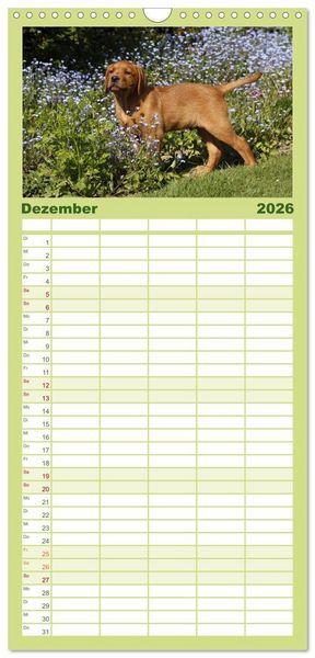 Produktbild: Familienplaner 2026 - Der Hundewelpen-Geburtstagskalender mit 5 Spalten (Wandkalender, 21 x 45 cm) CALVENDO