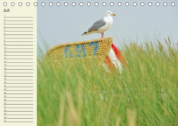 Produktbild: Amrum Geburtstagsmerker (Tischkalender immerw&auml;hrend DIN A5 quer)