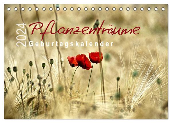 Pflanzenträume / Geburtstagskalender (Tischkalender 2024 DIN A5 quer), CALVENDO Monatskalender