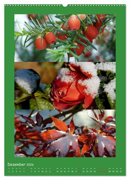 Produktbild: Natur im Farbenrausch (Wandkalender 2026 DIN A2 hoch), CALVENDO Monatskalender