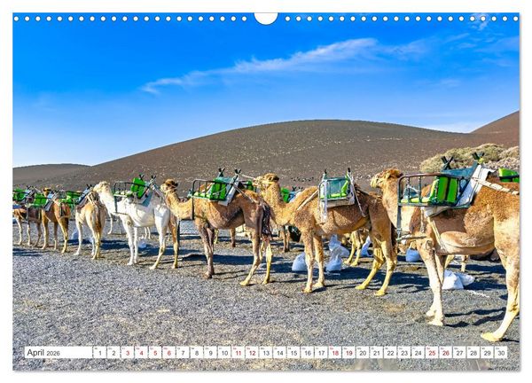Produktbild: Lanzarote - Wo die Vulkane die Landschaft formten (Wandkalender 2026 DIN A3 quer), CALVENDO Monatskalender