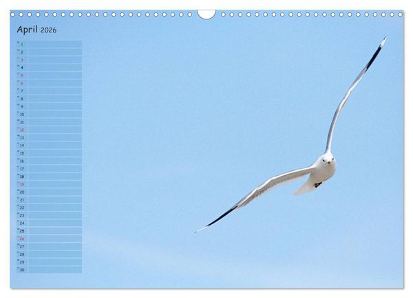 Produktbild: Rund um K&uuml;hlungsborn (Wandkalender 2026 DIN A3 quer), CALVENDO Monatskalender