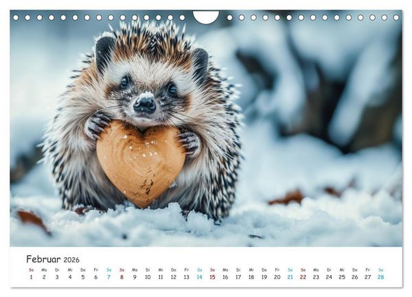 Produktbild: Die Melodie der Liebe (Wandkalender 2026 DIN A4 quer), CALVENDO Monatskalender