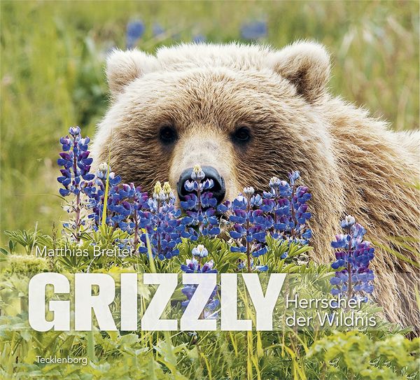 Produktbild: Grizzly