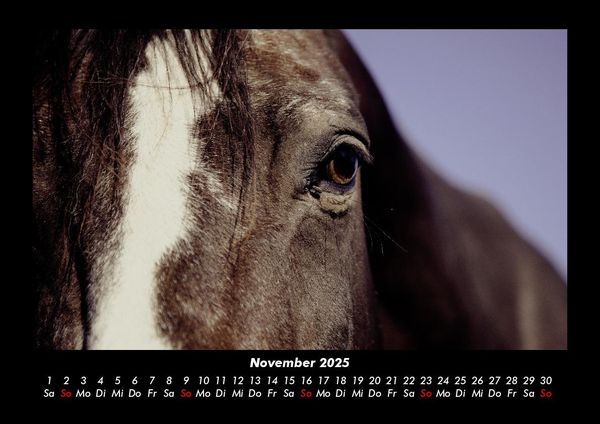 Produktbild: Pferde Kalender 2025 Fotokalender DIN A3