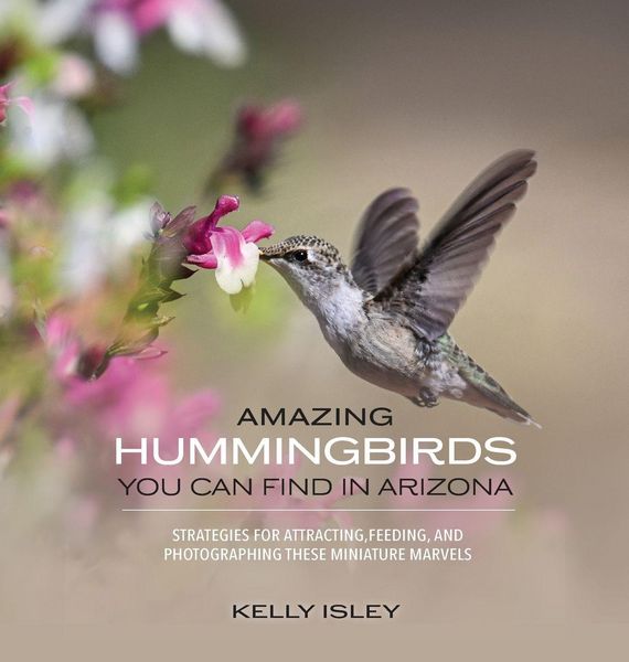 Produktbild: Amazing Hummingbirds You Can Find in Arizona