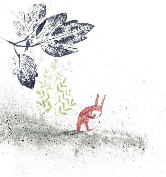 Produktbild: Der Hase ohne Nase