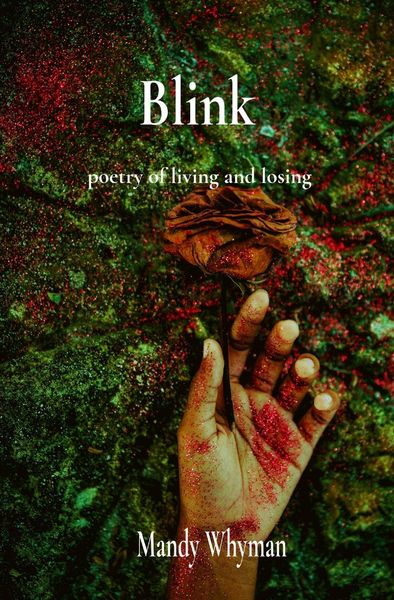 Produktbild: Blink