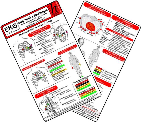 Produktbild: EKG Diagnostik & Ableitungen 2025 - Medizinische Taschen-Karte