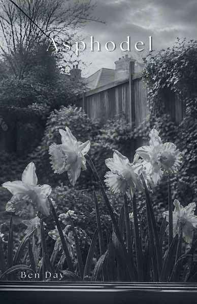 Produktbild: Asphodel