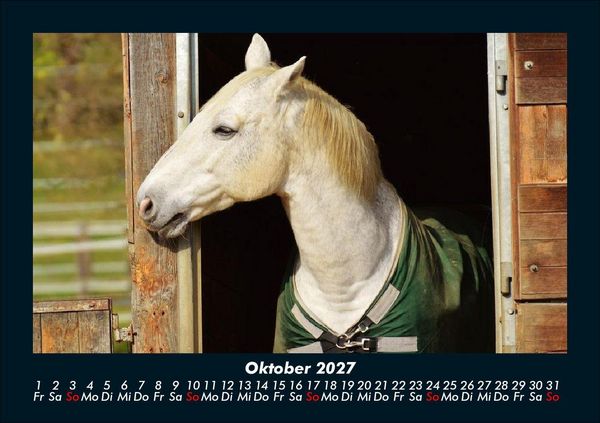 Produktbild: Tierkalender 2027 Fotokalender DIN A5