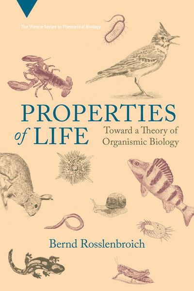 Produktbild: Rosslenbroich, B: Properties of Life