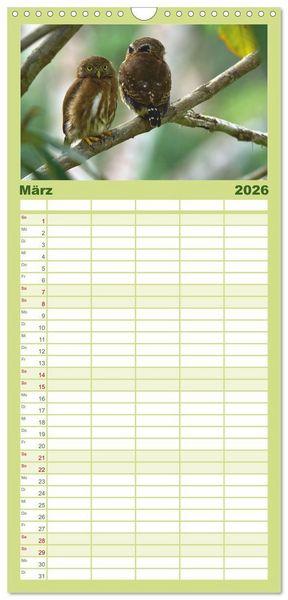 Produktbild: Familienplaner 2026 - Costa Ricas gefiederte Pracht mit 5 Spalten (Wandkalender, 21 x 45 cm) CALVENDO