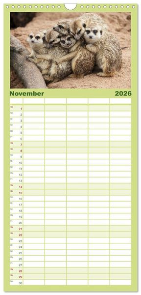 Produktbild: Familienplaner 2026 - Erdm&auml;nnchen mit 5 Spalten (Wandkalender, 21 x 45 cm) CALVENDO