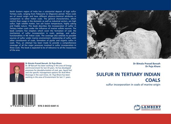 Produktbild: SULFUR IN TERTIARY INDIAN COALS